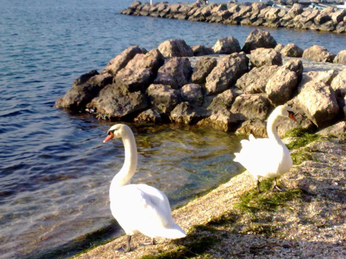 Residenza Al Sogno - On Lake Garda Cavaion Veronese Kültér fotó